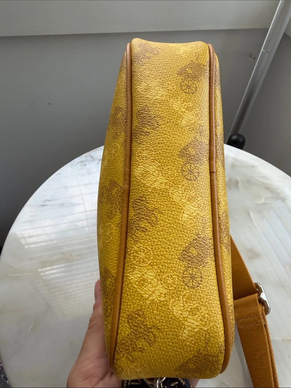 NWT Coach Crossbody Pouch